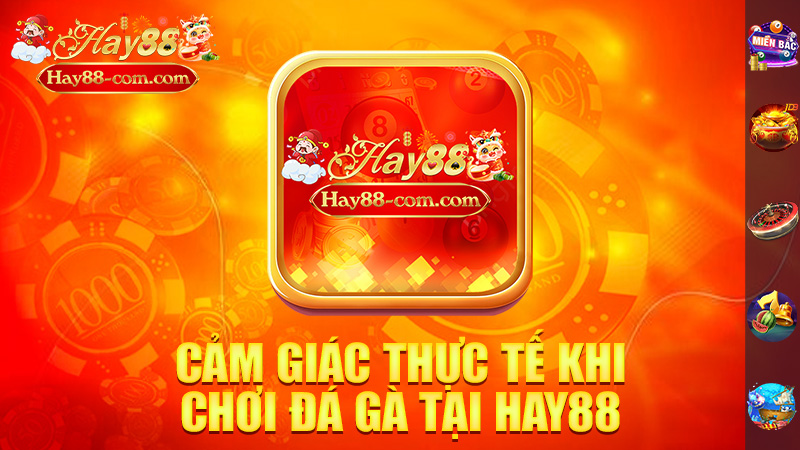 Cảm Giác Thực Tế Khi Chơi Đá Gà Tại Hay88