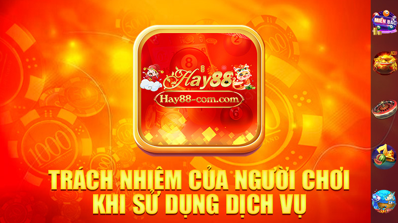 Trách Nhiệm Của Người Chơi Khi Sử Dụng Dịch Vụ